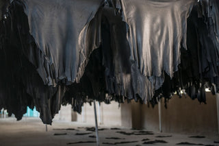 Tanned leather hides hanging to dry in a leather processing facility.
